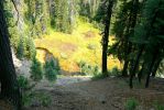 PICTURES/Annie Creek Trail - Crater Lake National Park/t_P1210226.JPG